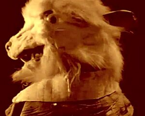 lola sinn stretches her tight asshole with toys before taking hard cock deep