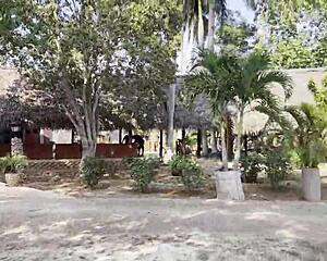 monika fox naked tits piss under tree 💦🌳