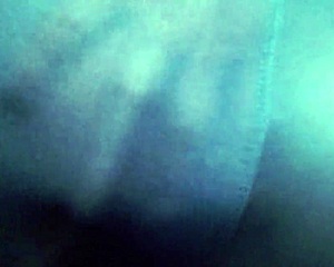 dawn showing off in tights with denial