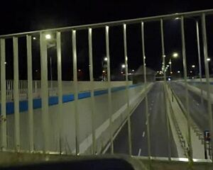 trans shemale olivia flash dick ass pussy public street exhibitionist?