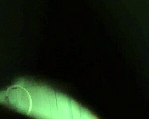 Sneaky spy catches sister bathing in steamy shower