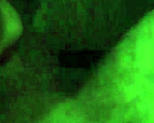 SEÑORA SUCKS MY THICK COCK SO GOOD!