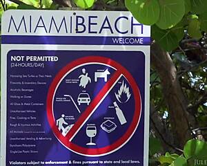 jules picks up latina kira perez for outdoor blowjob facial