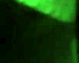 me encanta mamarle la verga antes de cogerselo rico