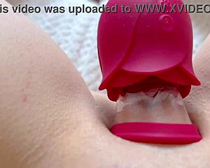 perfect pussy lips big clit sucked toy-fucked to squirting orgasm