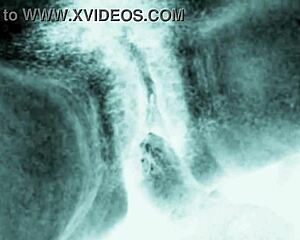 vintage erotic drawings of hairy beavers