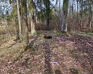 shy tanned russian next door gives slobbery deepthroat blowjob on first forest date 😏🌲💦