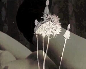 Dark Lantern Entertainment Presents Victorian Gentleman's STEP MOTHERS Sins from My Secret Life