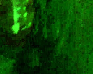 i luv fuckin myself with this dildo close up cummin hard