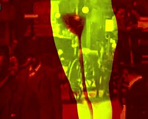 Ever imagined vintage hairy beavers in classic erotic poses up close?