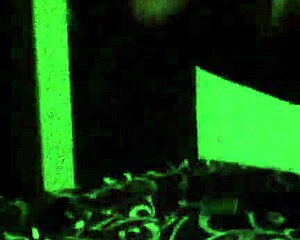 Neighbor Pounds Camgirl Taio's Big Ass Hard in Doggystyle Anal on Cam