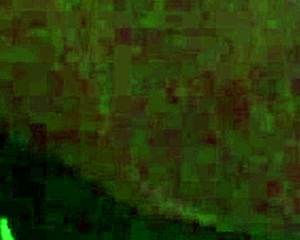 i luv fuckin myself with this dildo close up cummin hard