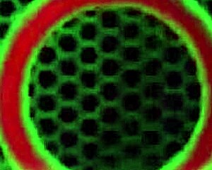 Nina Kayy Spreads Huge Ass for Jonathan Jordan's Thick Cock Ride