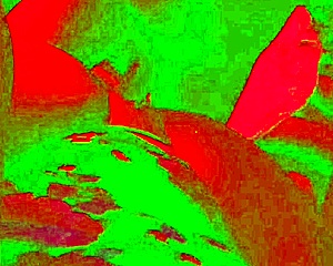 wanna see cheating wife legs up taking bbc closeup missionary?