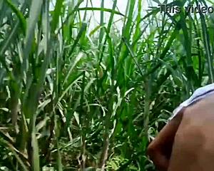 Hey listen my hot sexy Indian wife Sadi takes anal doggystyle assfucking from hubby