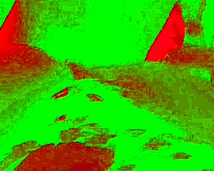 wanna see cheating wife legs up taking bbc closeup missionary?