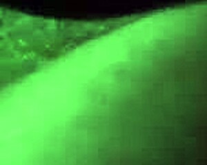 damn this latina headbobber deepthroats monster cock like a pro 💦