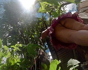 curvy latina wife upskirt flashes panties to lazy brother-in-law while hidden cam records tree pruning lesson