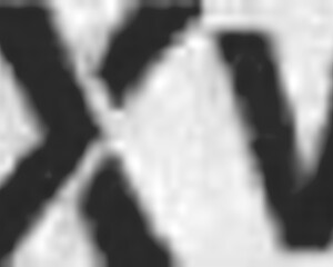 angel ayyla first casting