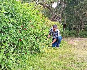 whoa this mega hung brazilian bear jerks his thick cock till it explodes milk on the farm! 💦🍆