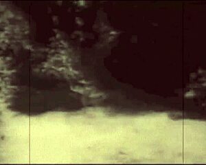 vintage taboo beaver bent over for doggystyle in the great outdoors... hairy pussy exposed!