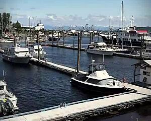 check out asian ladyboy lexi faith in her summer vlog pantyhose outdoor fun