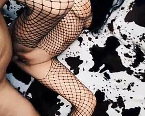 wife rides cowgirl in erotic mesh bodysuit—pov anal pounding her milf pussy?
