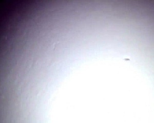 Cheating fat latina wife pussy creampied by friend as cuckold husband eats the cum load