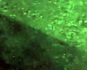 what if a group of friends fucked raw in front of everyone bareback creampie?