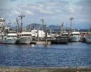 check out asian ladyboy lexi faith in her summer vlog pantyhose outdoor fun