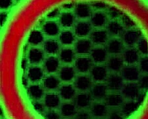 sophie dee rides cowgirl on milf with big tits pussy lips and wet orgasms