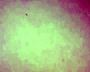 milf pussy drips thick cum load after wild creampie. she moans in bliss