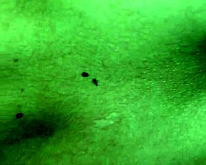 in dark room i eat cousin's ass first time during anal workout ripping clothes