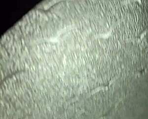 hey neighbor caught me in bathroom and i invited him to fuck me hard