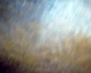 redbone milf lemme dive in n suck dat juicy pussy real good 😋👅