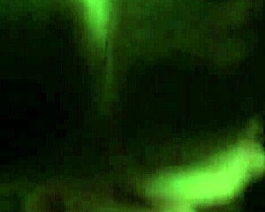 you won't believe how this slut throats that throbbing monster BBC in part two