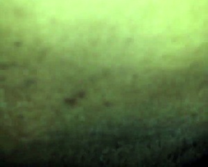 redbone milf lemme dive in n suck dat juicy pussy real good 😋👅