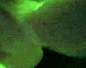 Just me sharing casual thoughts on a relaxed day out