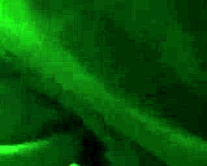 amateur homemade blowjob ends with full swallow in usa bedroom action