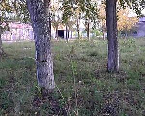 outdoor anal toy fun during phone sex with voyeur watching?