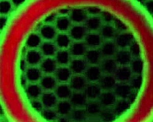 hey julia ann 😍 mature bbw milf craves your deep sucking cock in lingerie cowgirl ride with big natural tits and fat pussy lips 👅💦