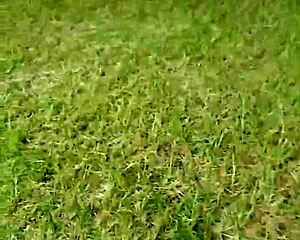 Patricia Speight SUCKS Dick Deep In Greenville NC - Add Twitch Littybitty88