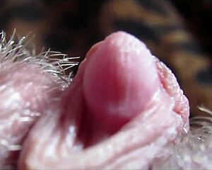 whoa check this big clit throbbin in orgasm closeup 😍💦
