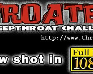 these sexy chicks really know how to suck dick hard