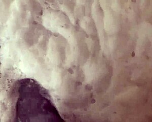 StepMom's Hot Blowjob on Monster Cock, Ebony Big Tits Swallow Cumshot Hard?