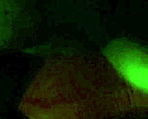 Homemade BBW ebony milf cougar takes monster BBC deep in fat pussy