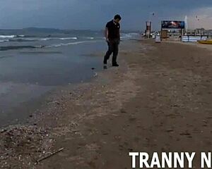 Ever tasted shemale cock before? This babe blows group style