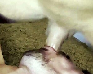 street tease paulista drags carioca home for ass licking blowjob cum and spit play