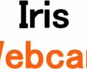 Iris spreads her skinny shaved pussy gaping wide in stockings close-up!