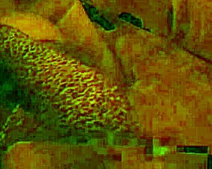 Latina Wife Bent Over Doggystyle Big Ass Fuck Fest